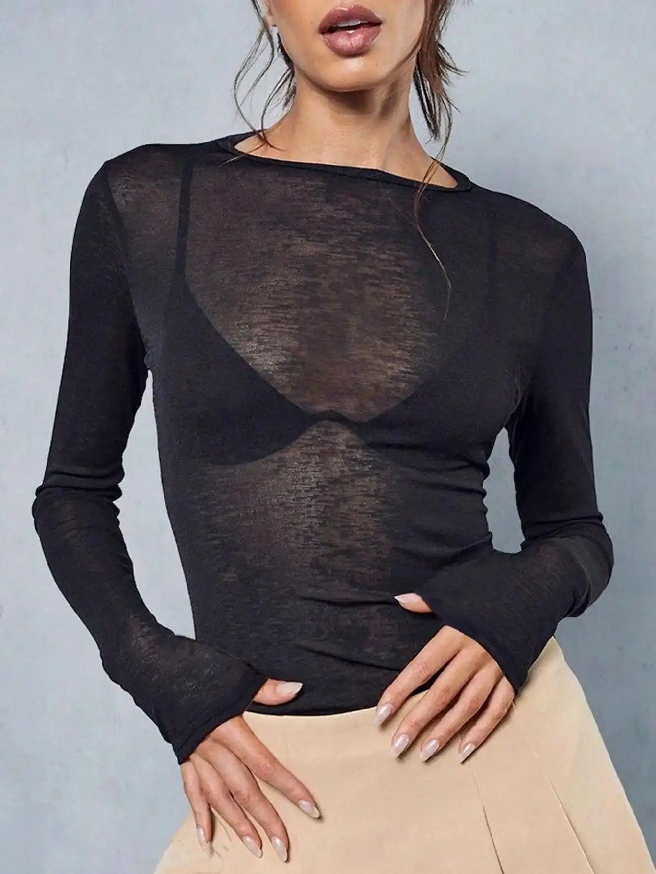 Sheer Long Sleeve Crew Neck Fitted Top Casual Black Spring Aurexia off