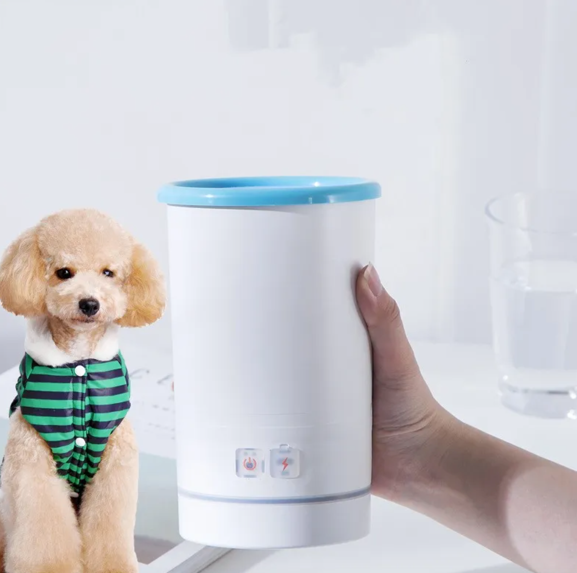 Paw Cleaner Cup Aurexia off