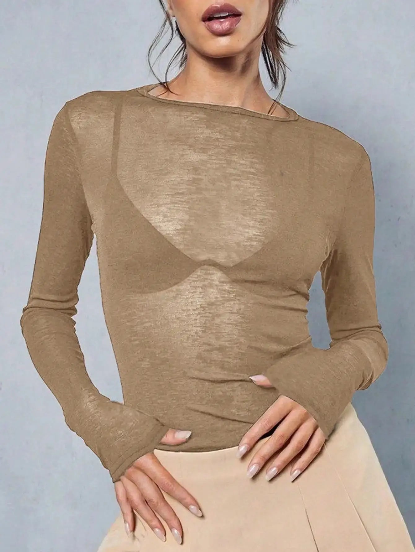 Sheer Long Sleeve Crew Neck Fitted Top Casual Black Spring Aurexia off