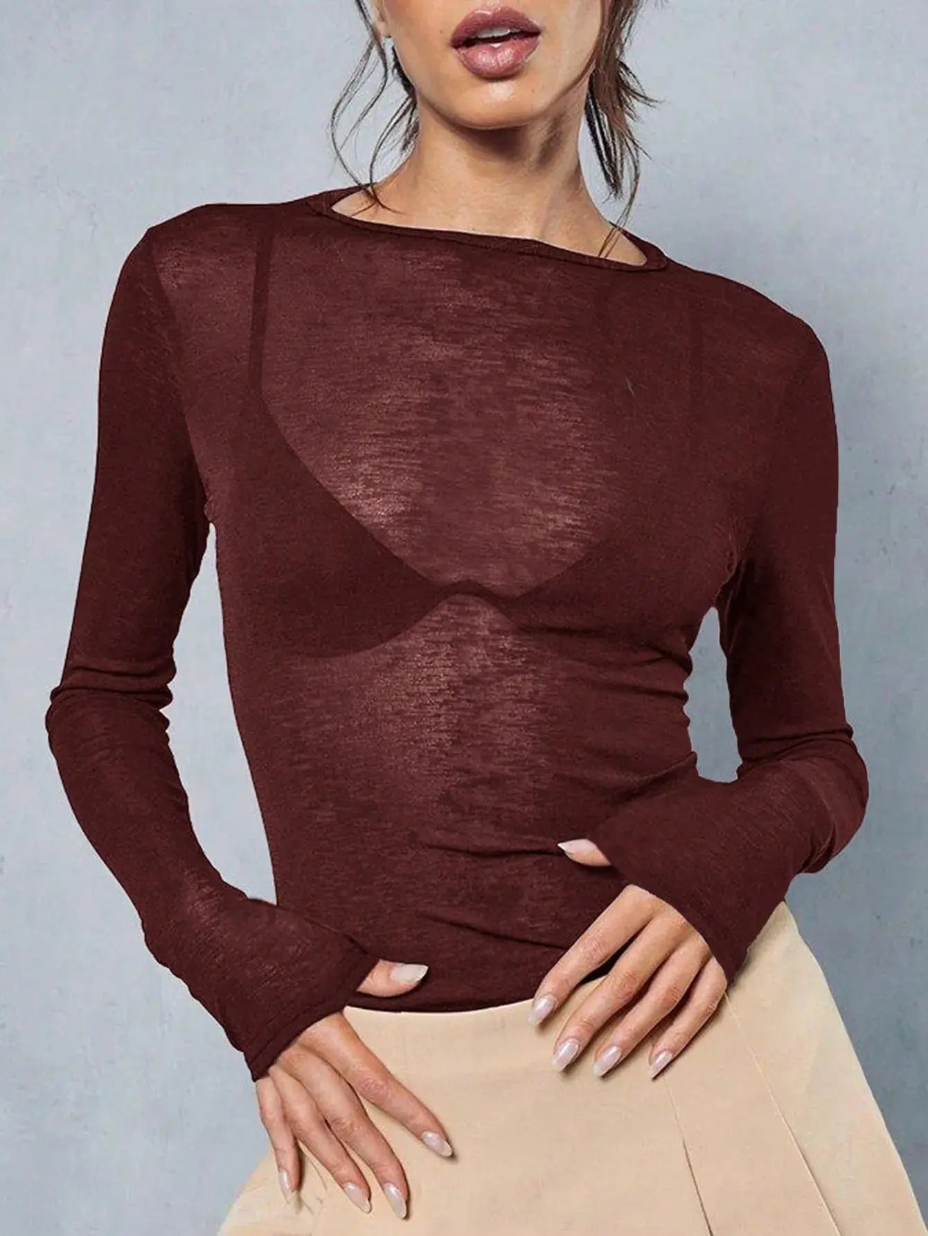 Sheer Long Sleeve Crew Neck Fitted Top Casual Black Spring Aurexia off