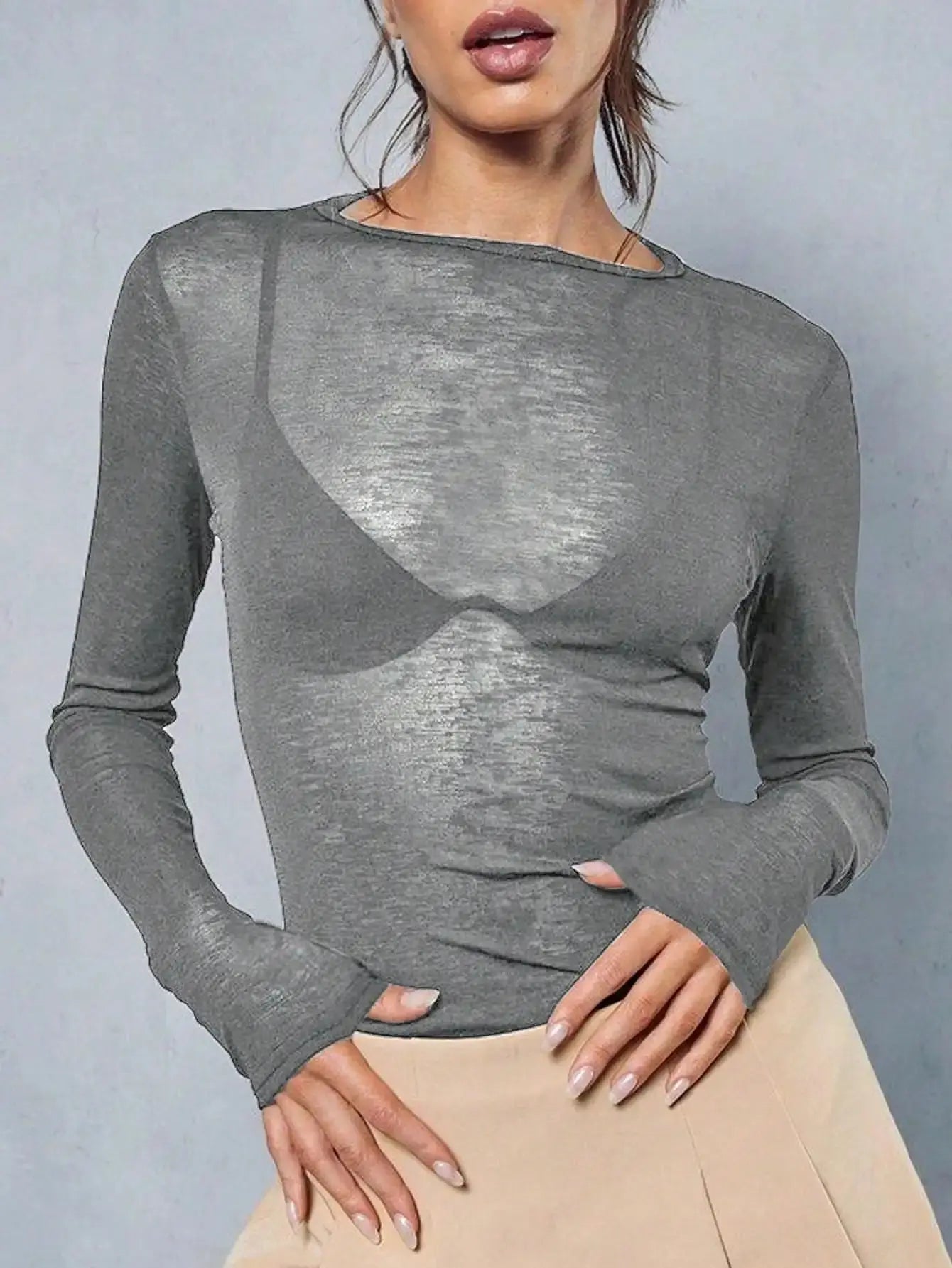 Sheer Long Sleeve Crew Neck Fitted Top Casual Black Spring Aurexia off
