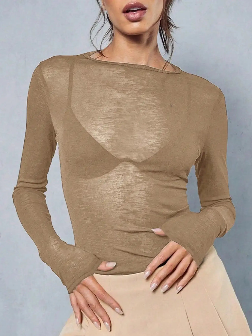 Sheer Long Sleeve Crew Neck Fitted Top Casual Black Spring Aurexia off