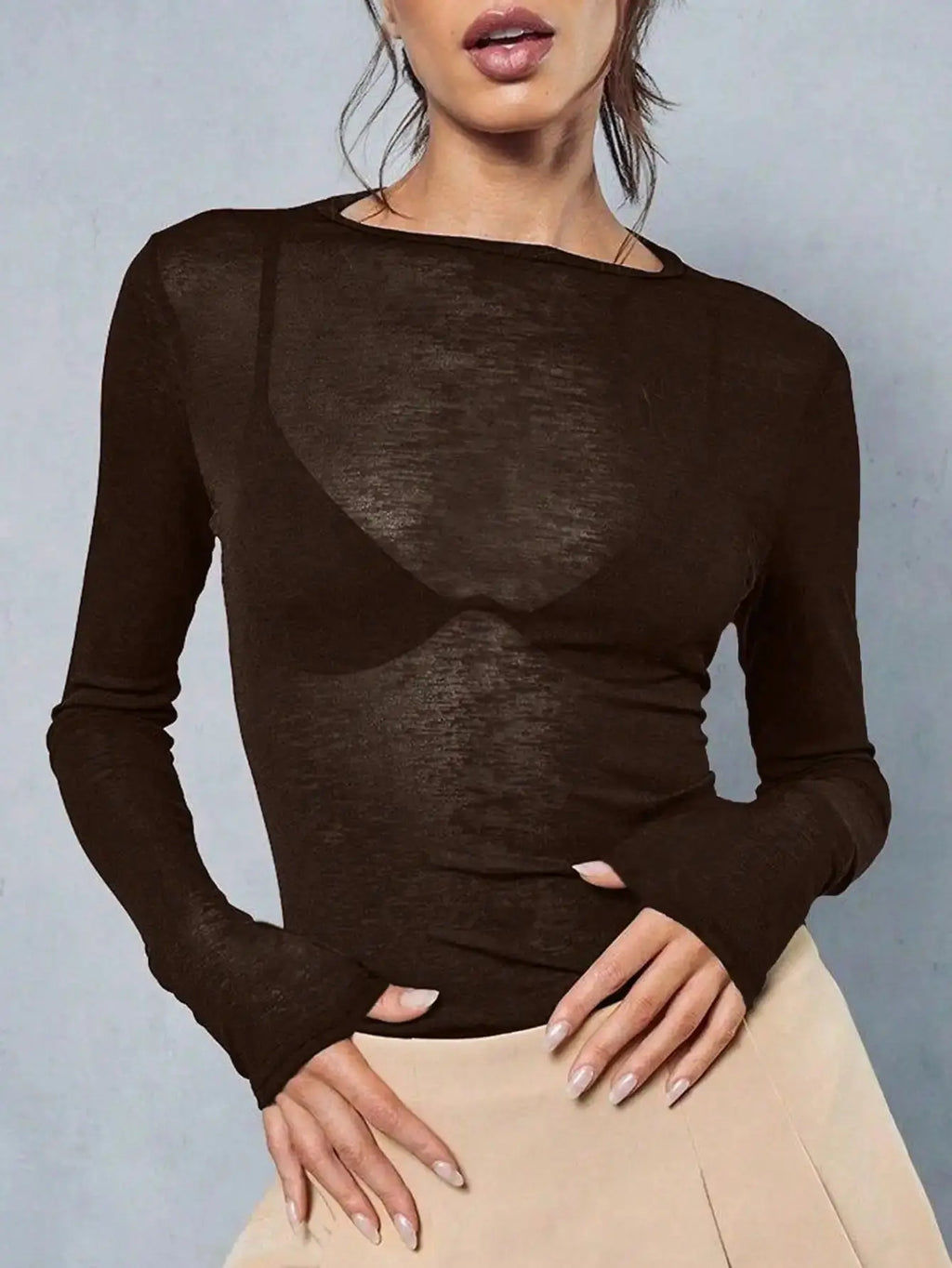 Sheer Long Sleeve Crew Neck Fitted Top Casual Black Spring Aurexia off