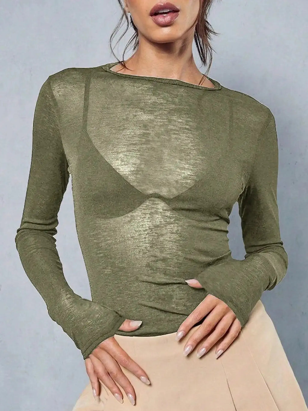 Sheer Long Sleeve Crew Neck Fitted Top Casual Black Spring Aurexia off